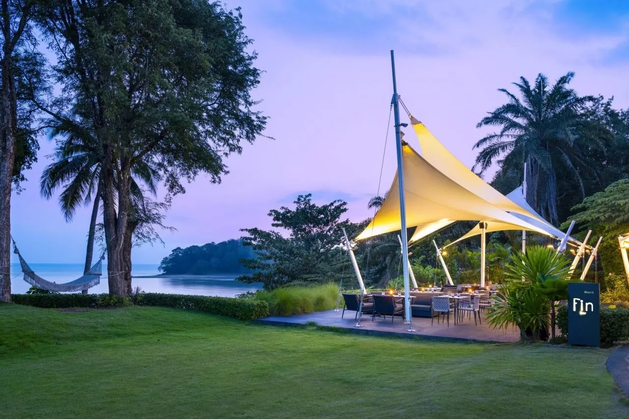 The Shell Sea — THE SHELL SEA