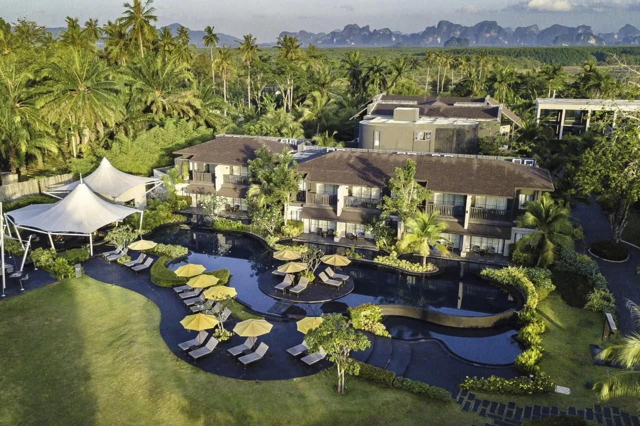 The Shell Sea — THE SHELL SEA