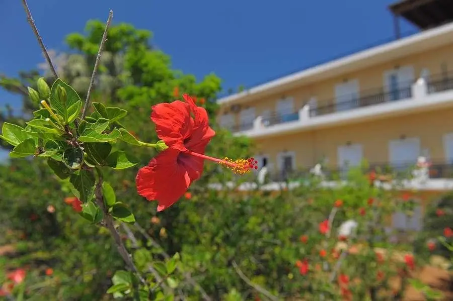 Vantaris Garden — VANTARIS GARDEN