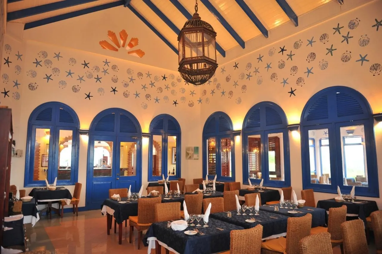 Vik Arena Blanca — VIK ARENA BLANCA