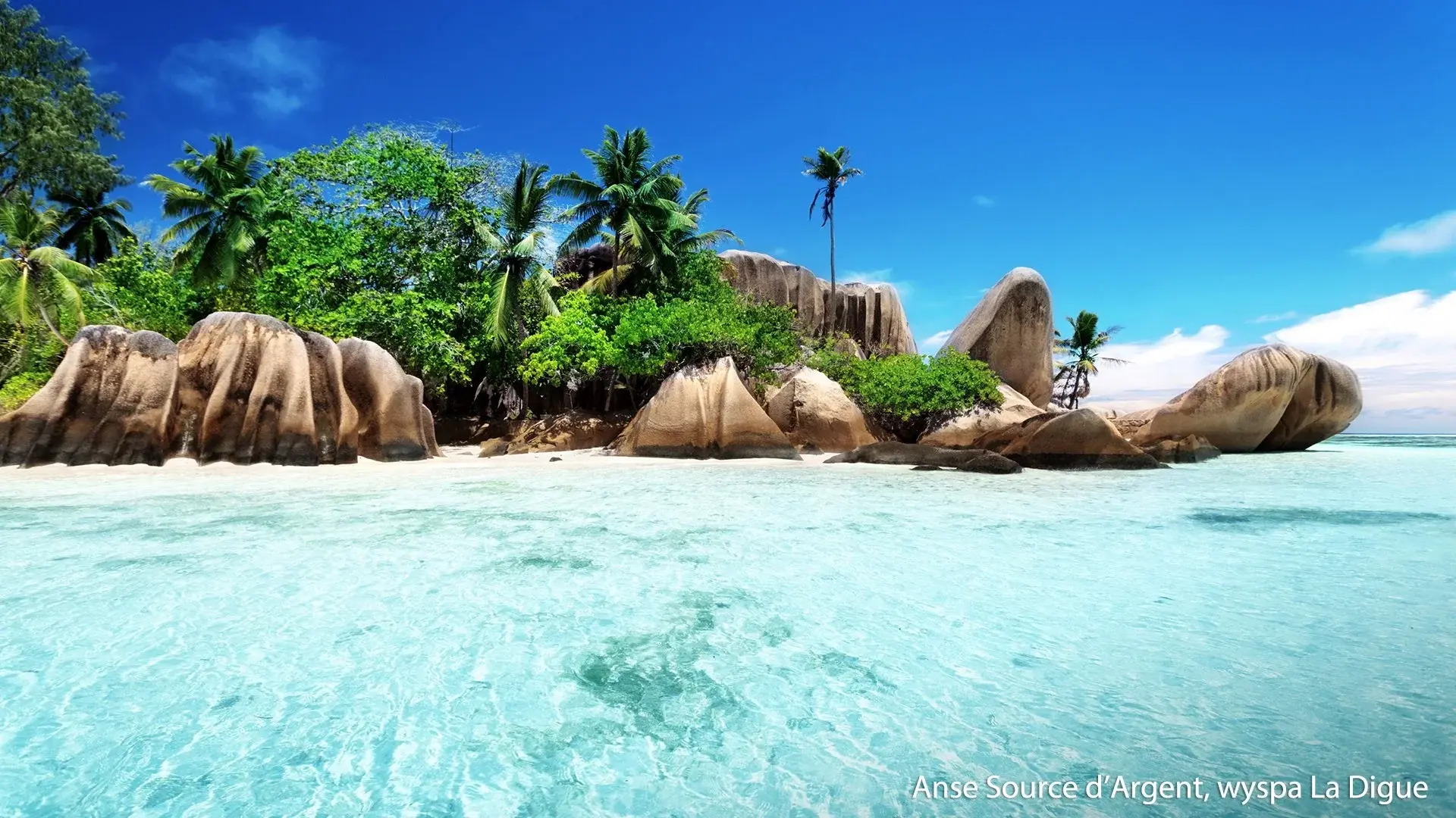 Hotel Wakacje pod palmami! Seszele w Seszele - oferta last minute