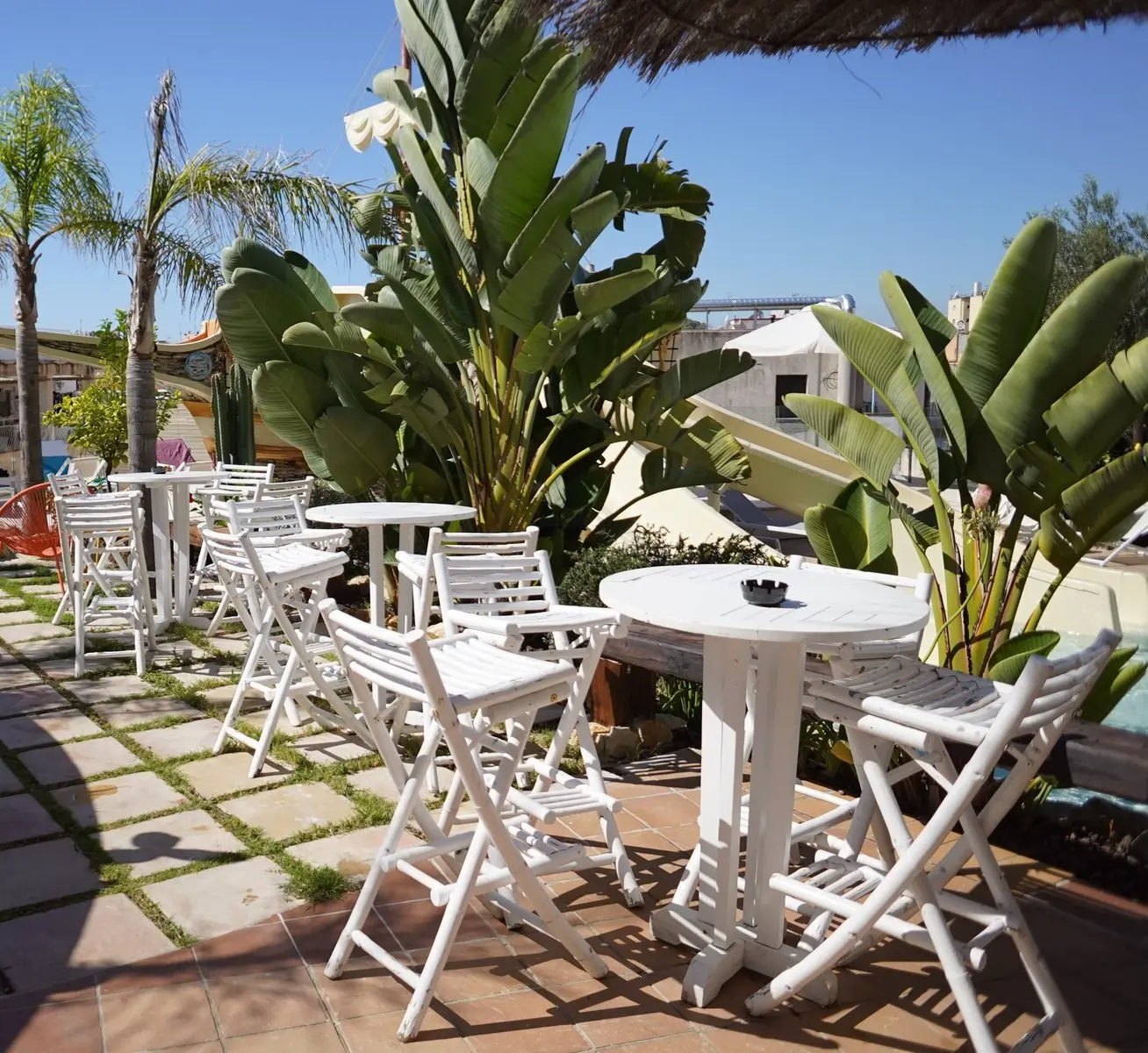 Alba Seleqtta — ALBA SELEQTTA