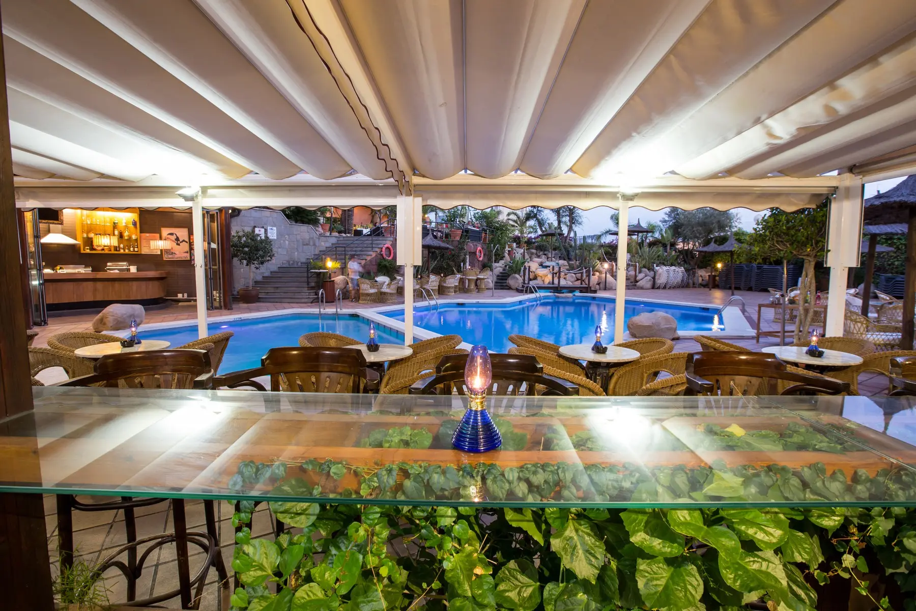 Alba Seleqtta — ALBA SELEQTTA