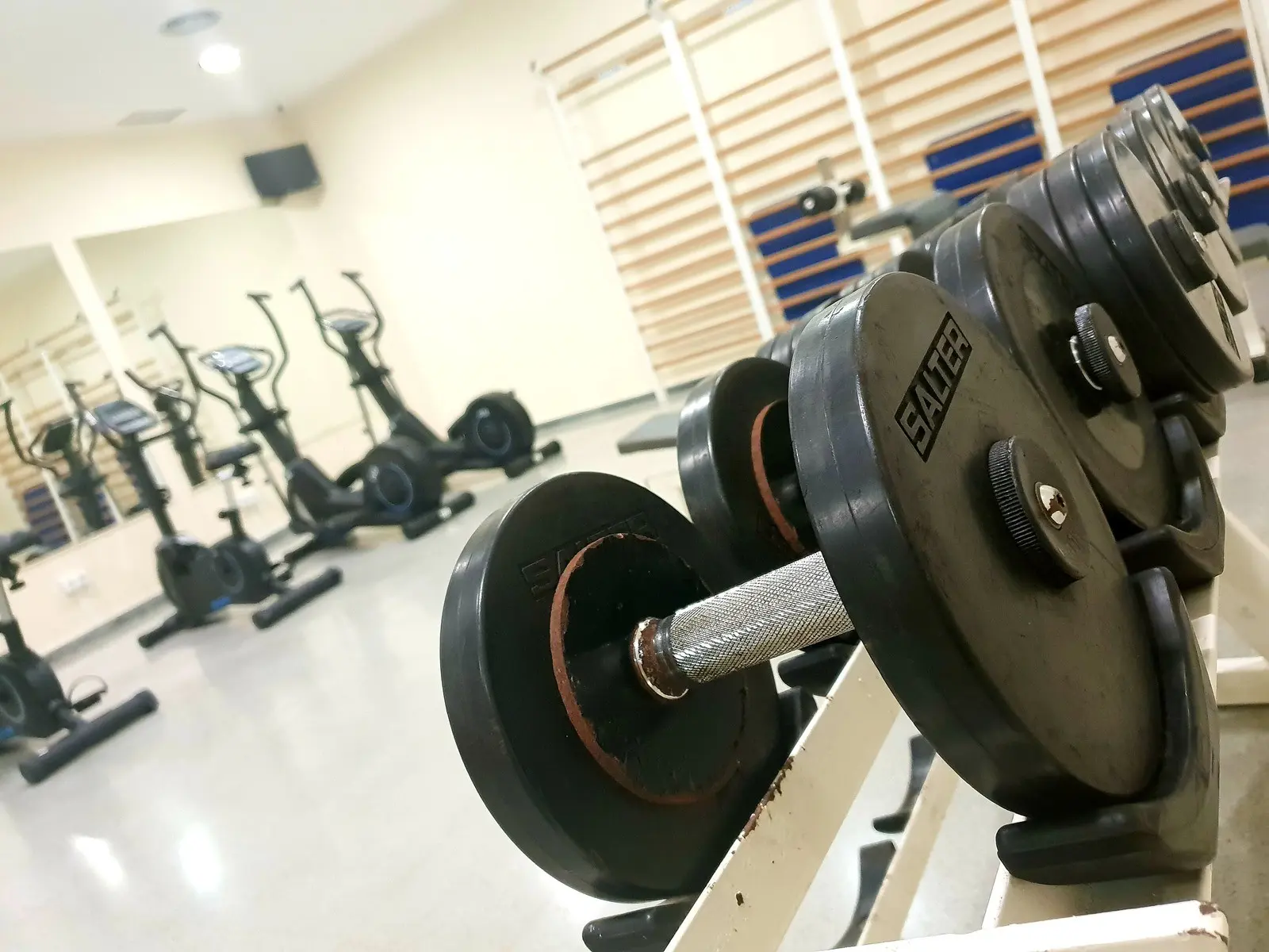 Alegria Caprici Verd — ALEGRIA CAPRICI VERD