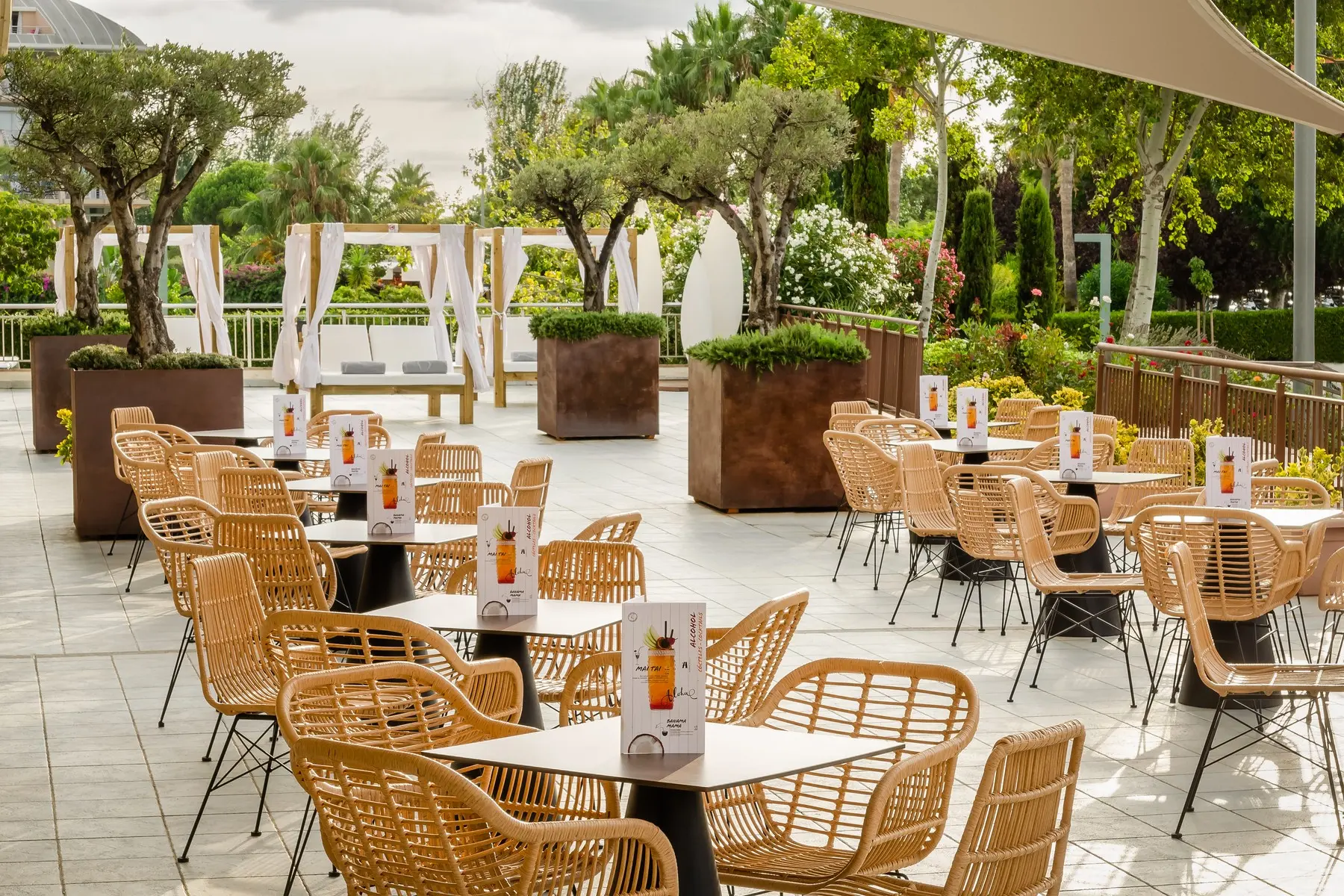 Alegria Caprici Verd — ALEGRIA CAPRICI VERD