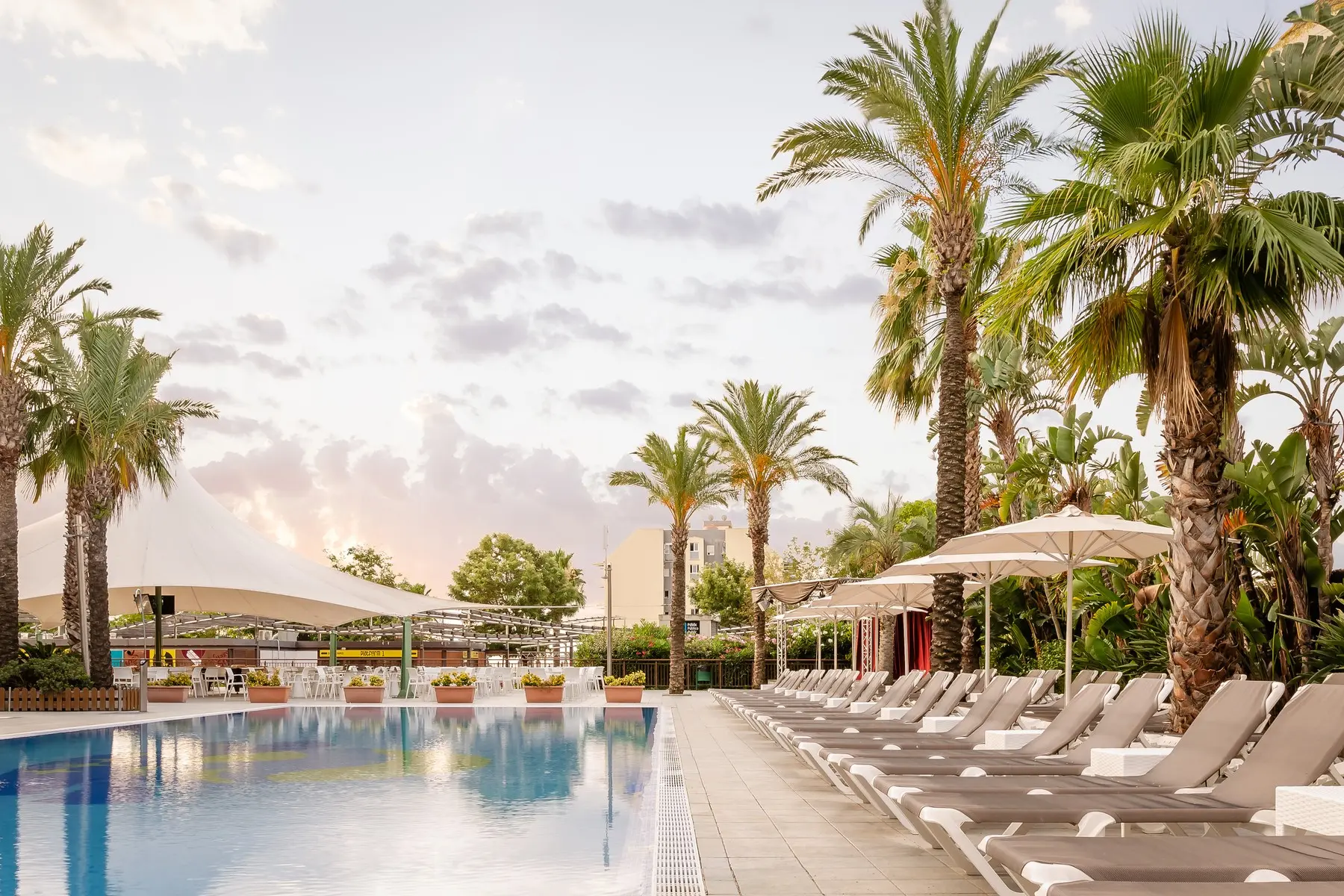 Alegria Caprici Verd — ALEGRIA CAPRICI VERD