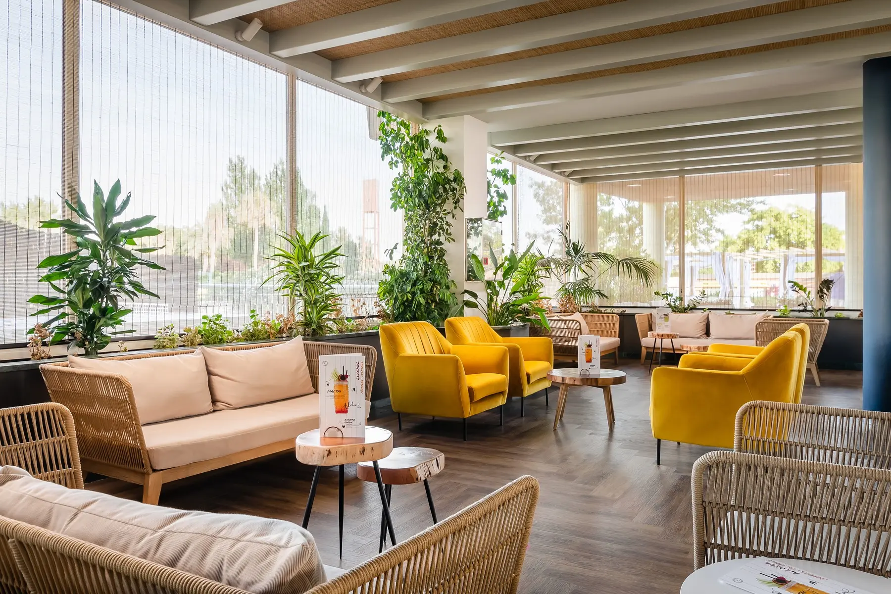 Alegria Caprici Verd — ALEGRIA CAPRICI VERD