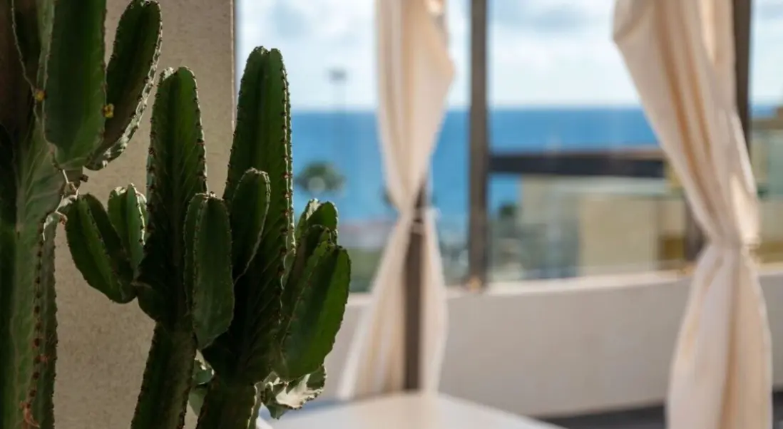 Widok z hotelu Apartamentos El Palmar