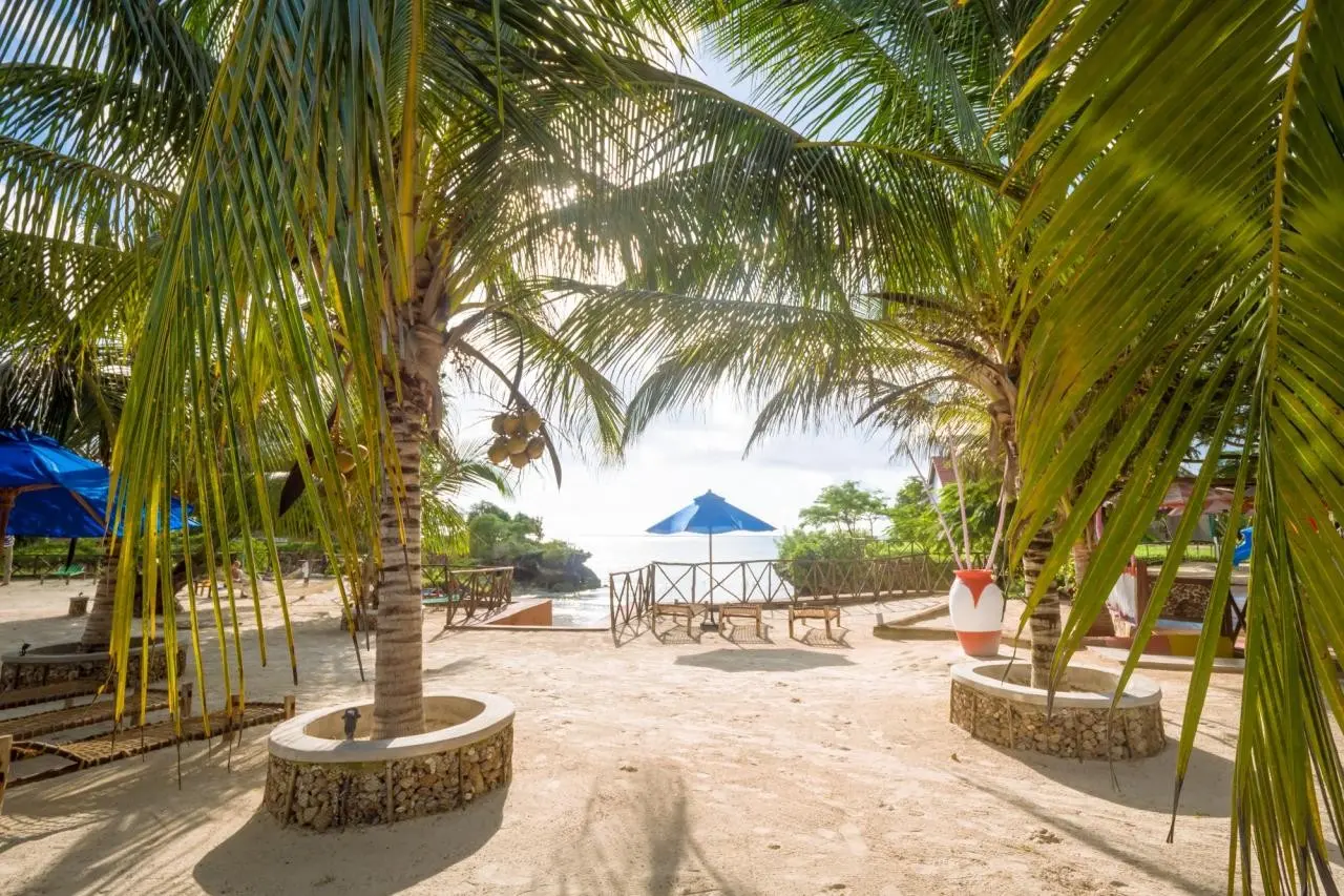 Azao Resort — AZAO RESORT