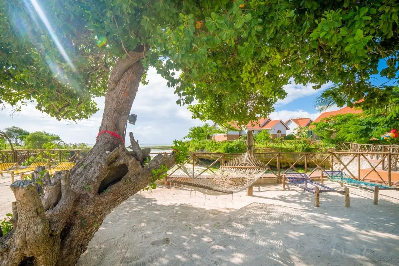 Azao Resort — AZAO RESORT