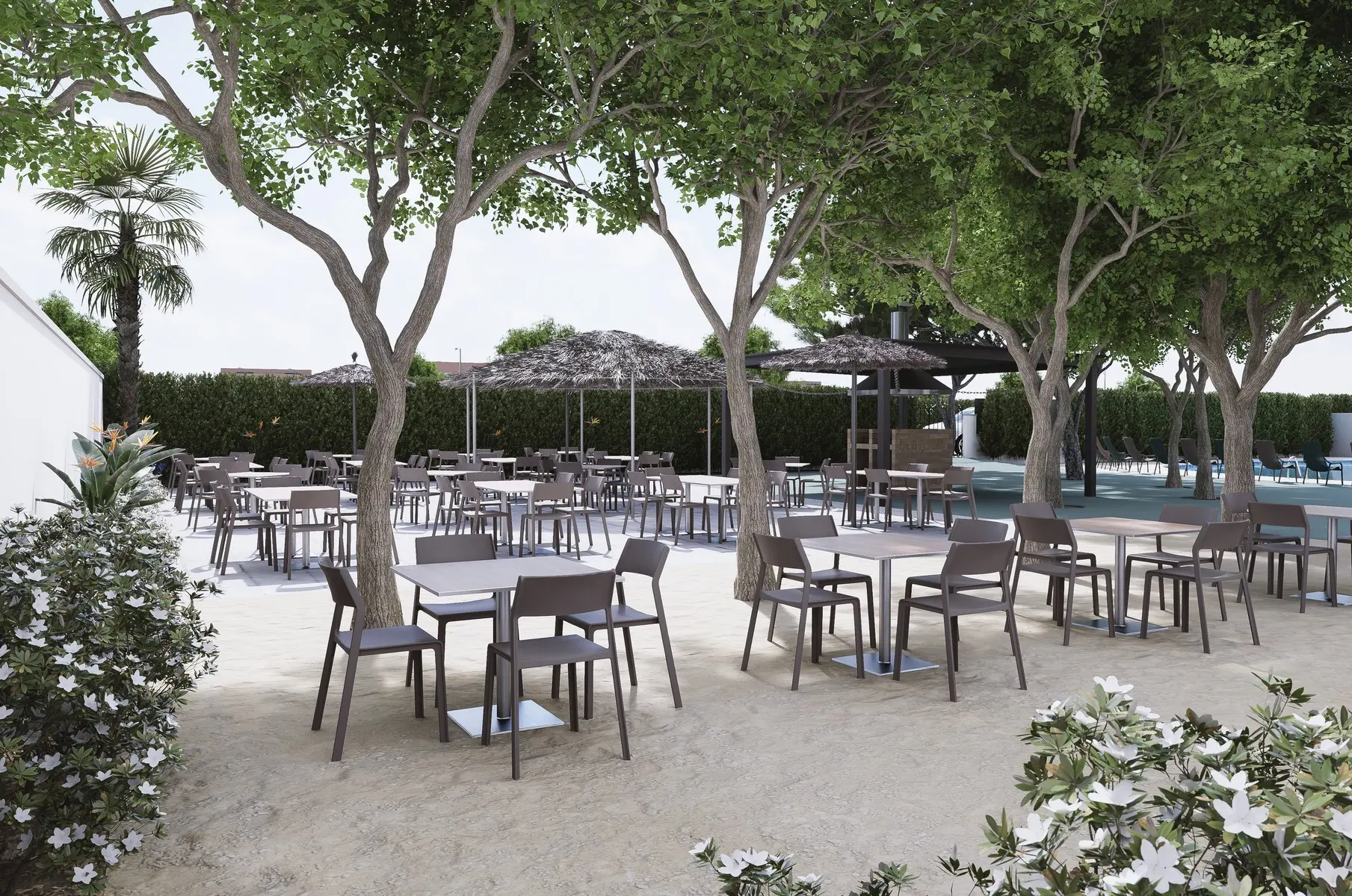 Bamblue Boutique Apartments — BAMBLUE BOUTIQUE APARTMENTS