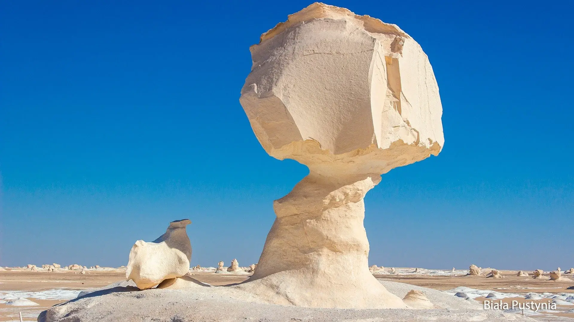 Wycieczka Biała Pustynia: oazy i miraże