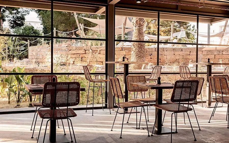 Caramelo Palma Beach — CARAMELO PALMA BEACH