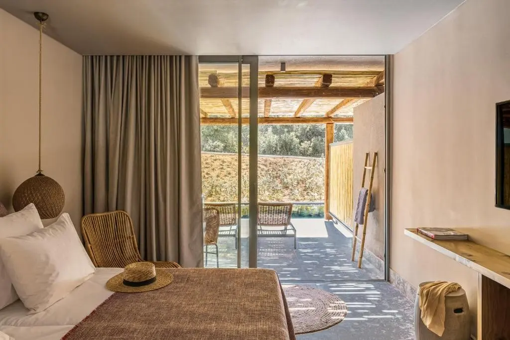 Cooks Club — COOKS CLUB