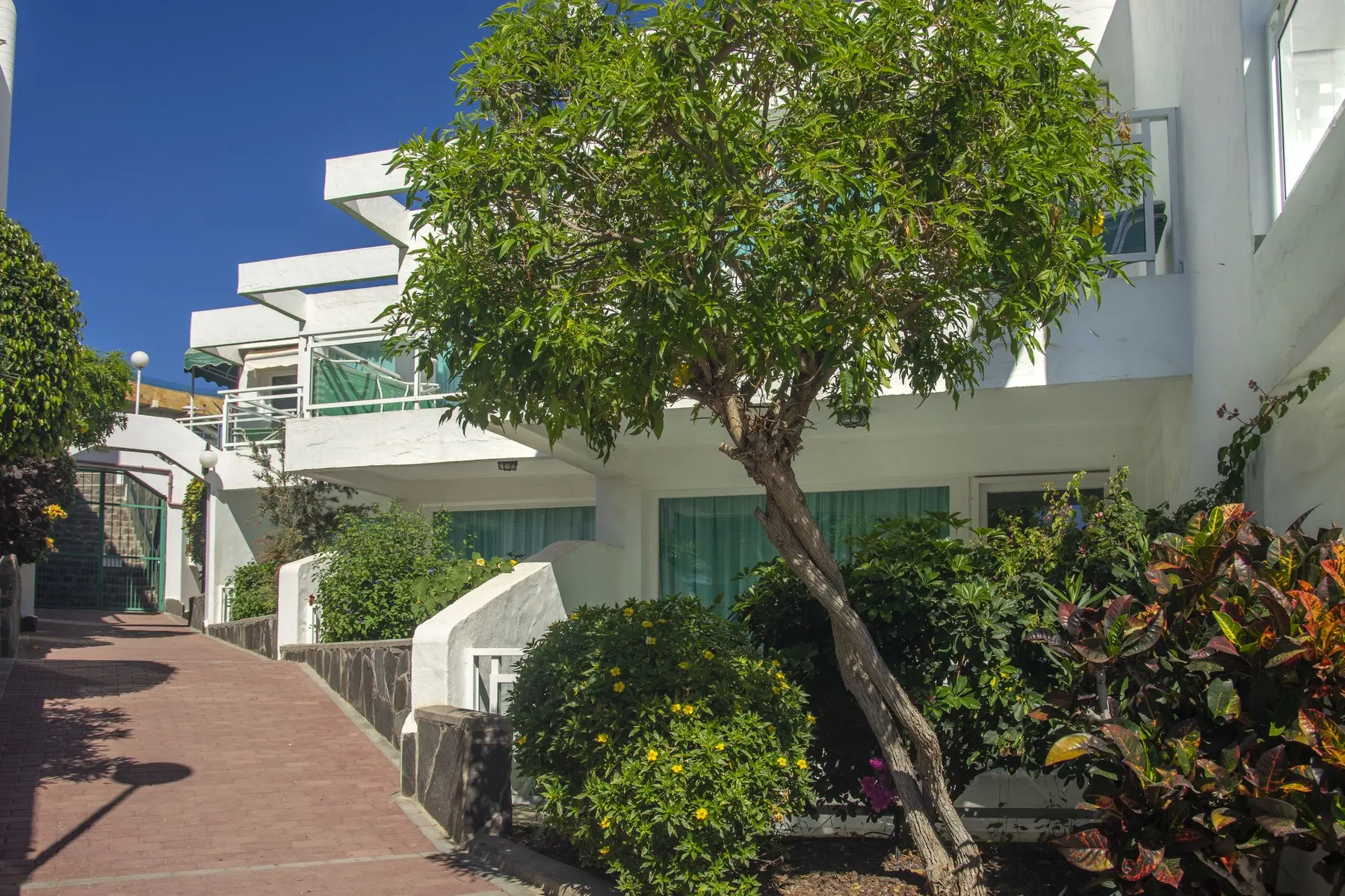 Hotel Acapulco Ocean View — ACAPULCO OCEAN VIEW