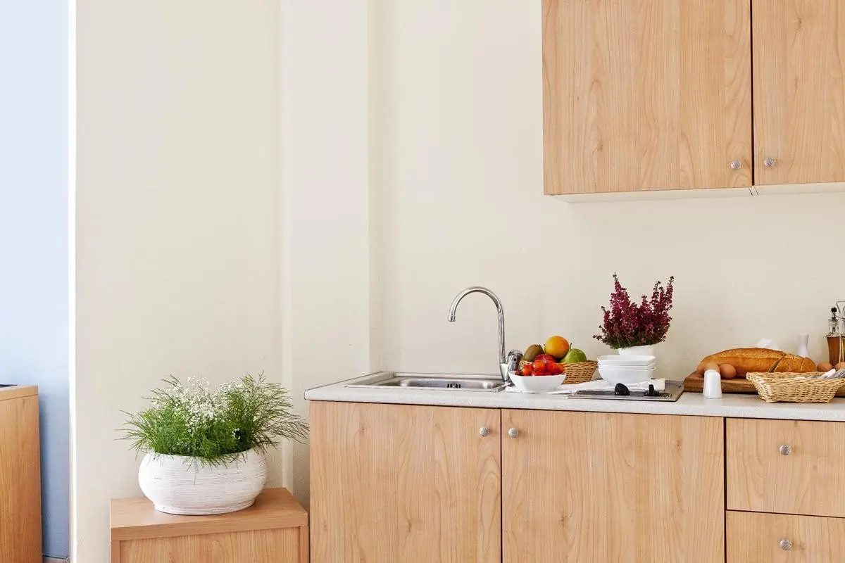 Hotel Aegean Plaza — AEGEAN PLAZA