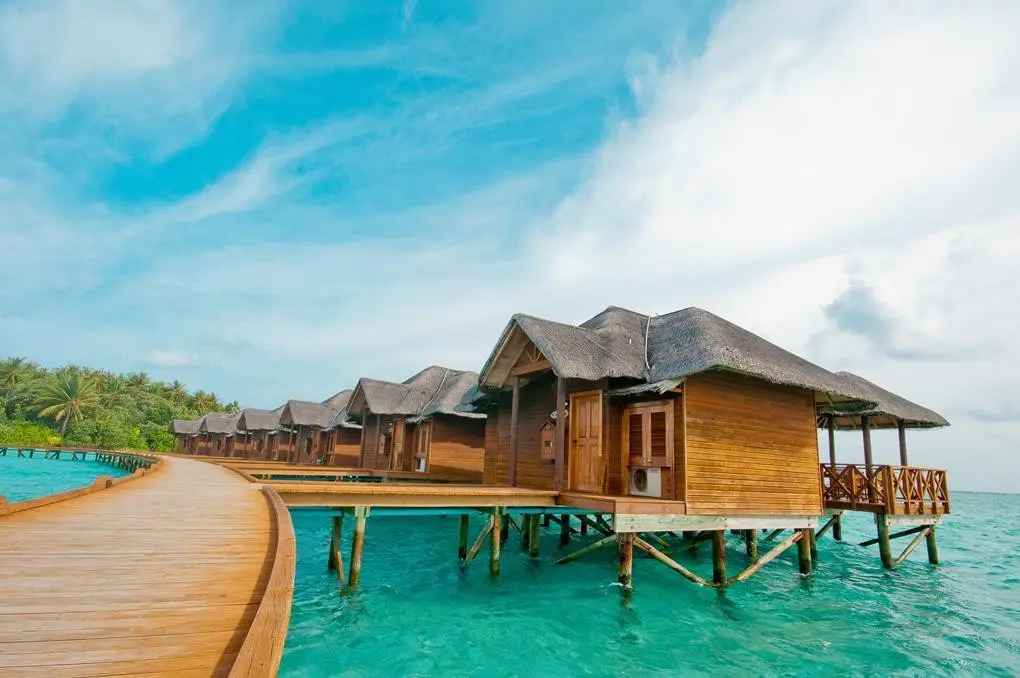 Hotel Fihalhohi Island Resort — FIHALHOHI ISLAND RESORT