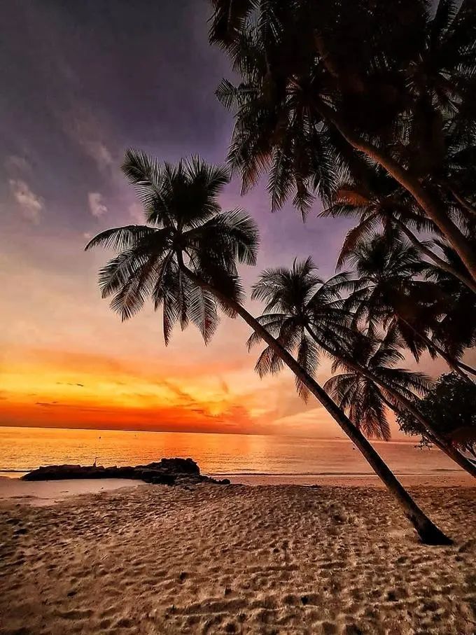 Hotel Fihalhohi Island Resort — FIHALHOHI ISLAND RESORT