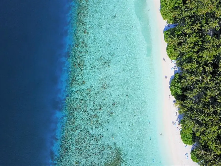 Hotel Fihalhohi Island Resort — FIHALHOHI ISLAND RESORT