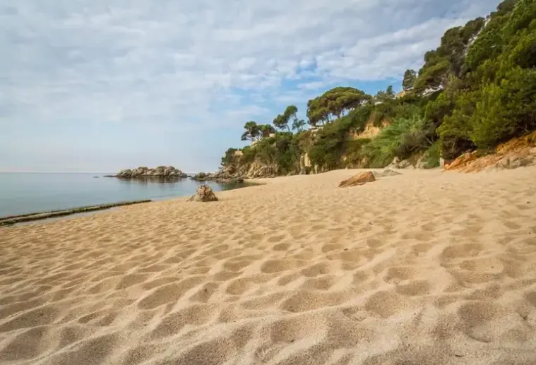 Plaża przy hotelu Hotel htop Platja Park