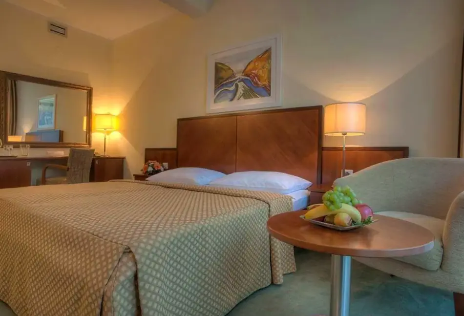 Pokój w hotelu Hotel Rivijera