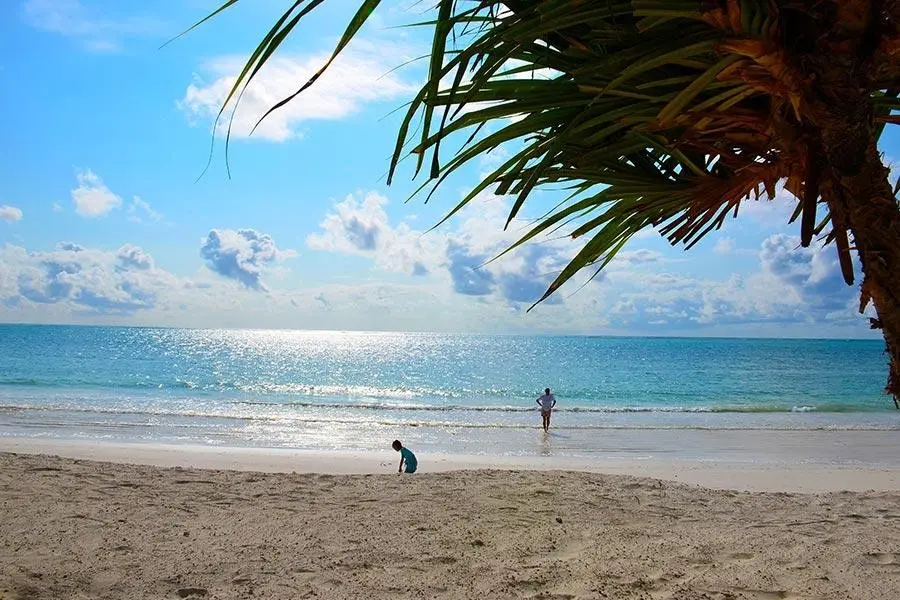 Indigo Beach Zanzibar — INDIGO BEACH ZANZIBAR