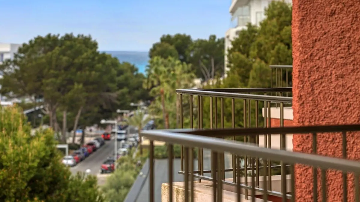 Pabisa Chico — PABISA CHICO