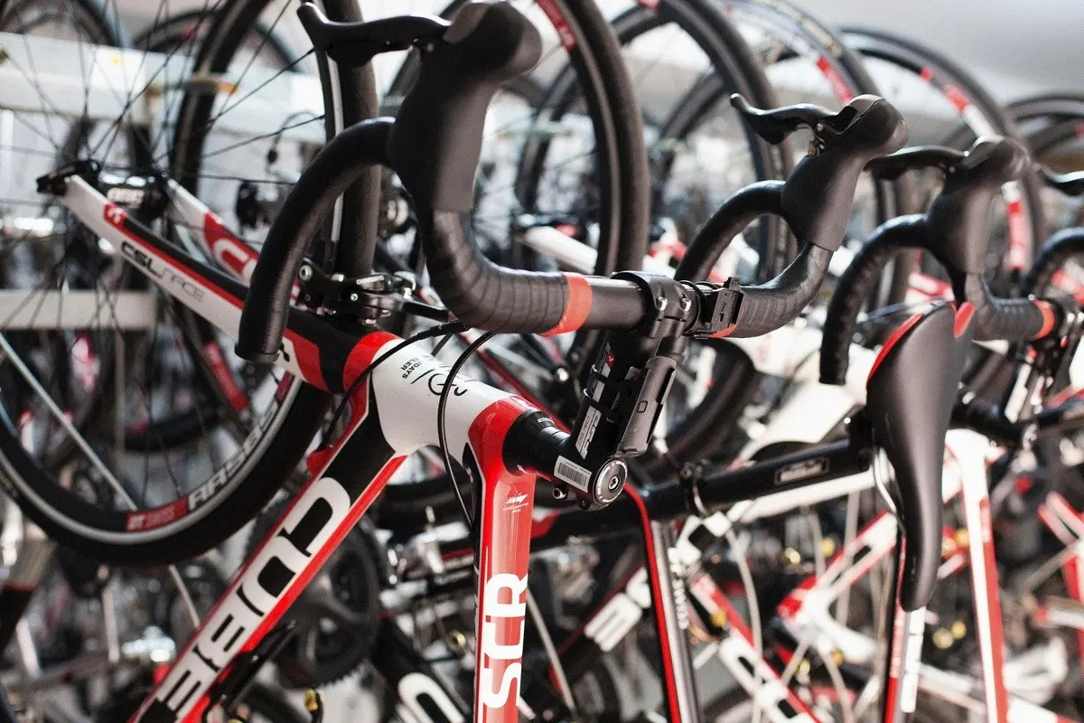 Pabisa Chico — PABISA CHICO