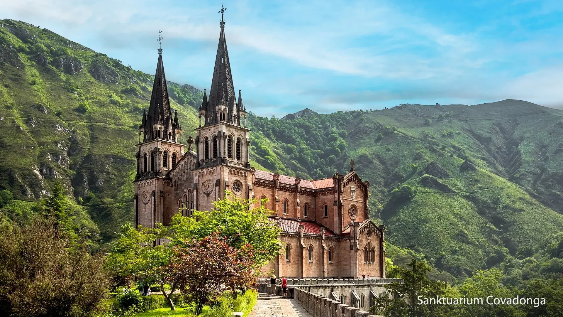 Wycieczka Podróż w zielone