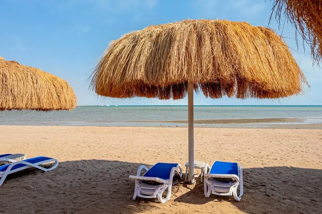 Rewaya Majestic Resort — REWAYA MAJESTIC RESORT