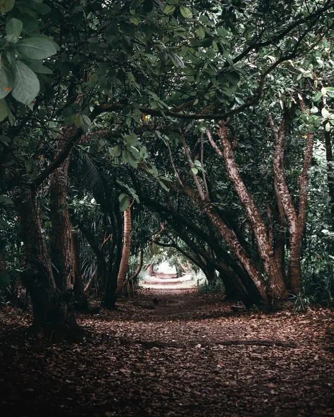 Siyam World Maldives — SIYAM WORLD MALDIVES