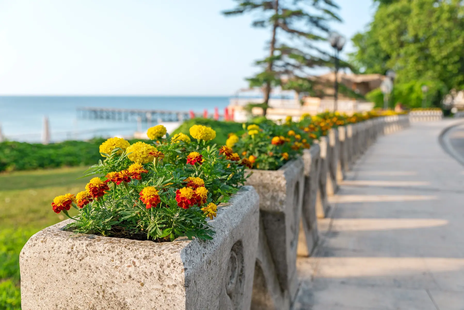 Plaża przy hotelu Sunny Day Club Hotel