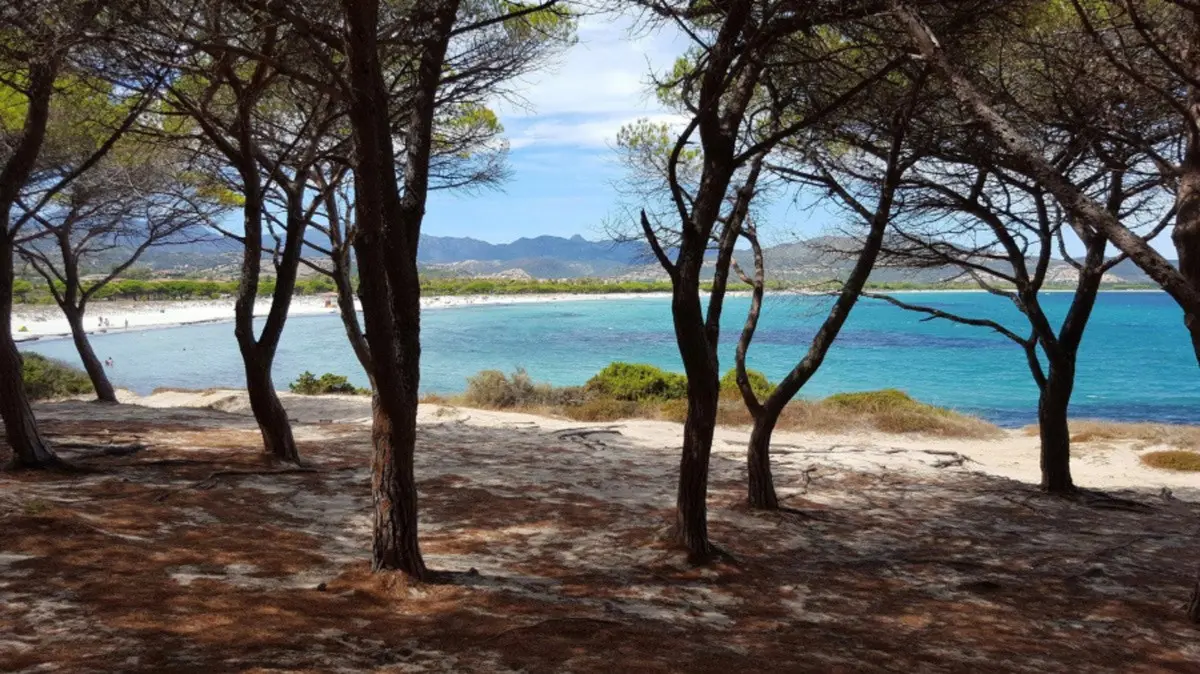 Valtur Sardegna Baia dei Pini Resort — VALTUR SARDEGNA BAIA DEI PINI