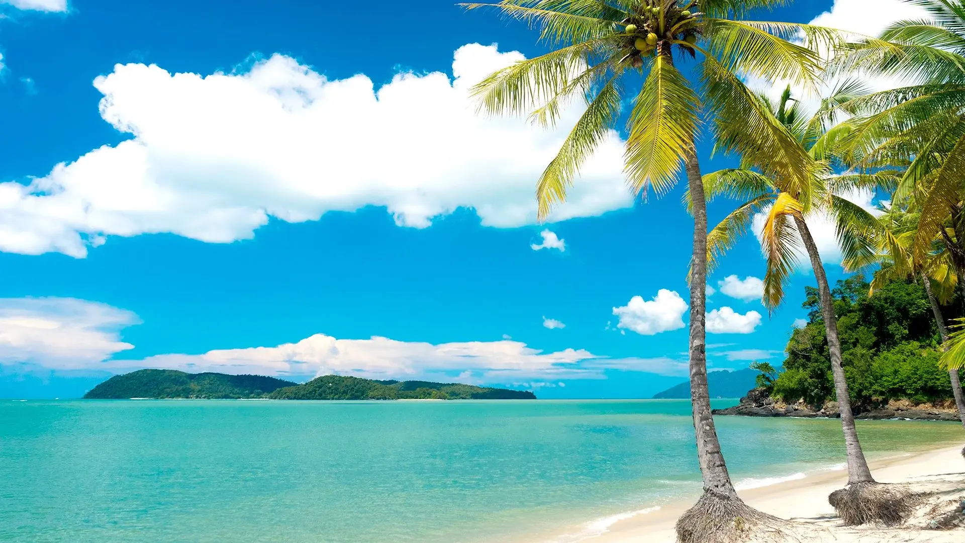 Wycieczka Wakacje pod palmami! Wyspy Malezji