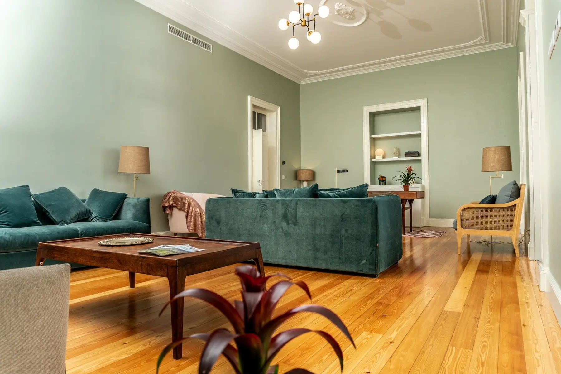 1905 Zino's Palace — 1905 ZINO'S PALACE