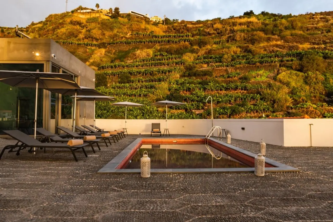 1905 Zino's Palace — 1905 ZINO'S PALACE