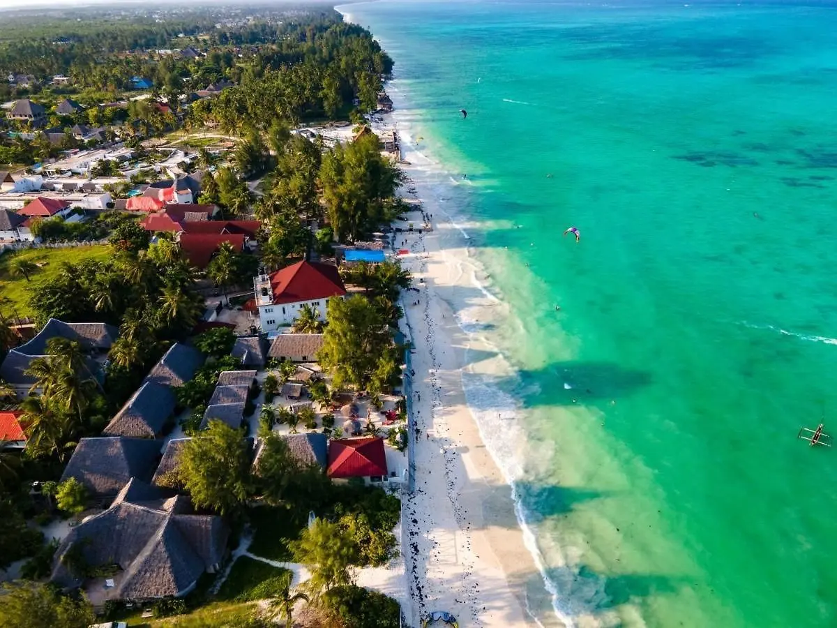 Aluna Paje — ALUNA PAJE