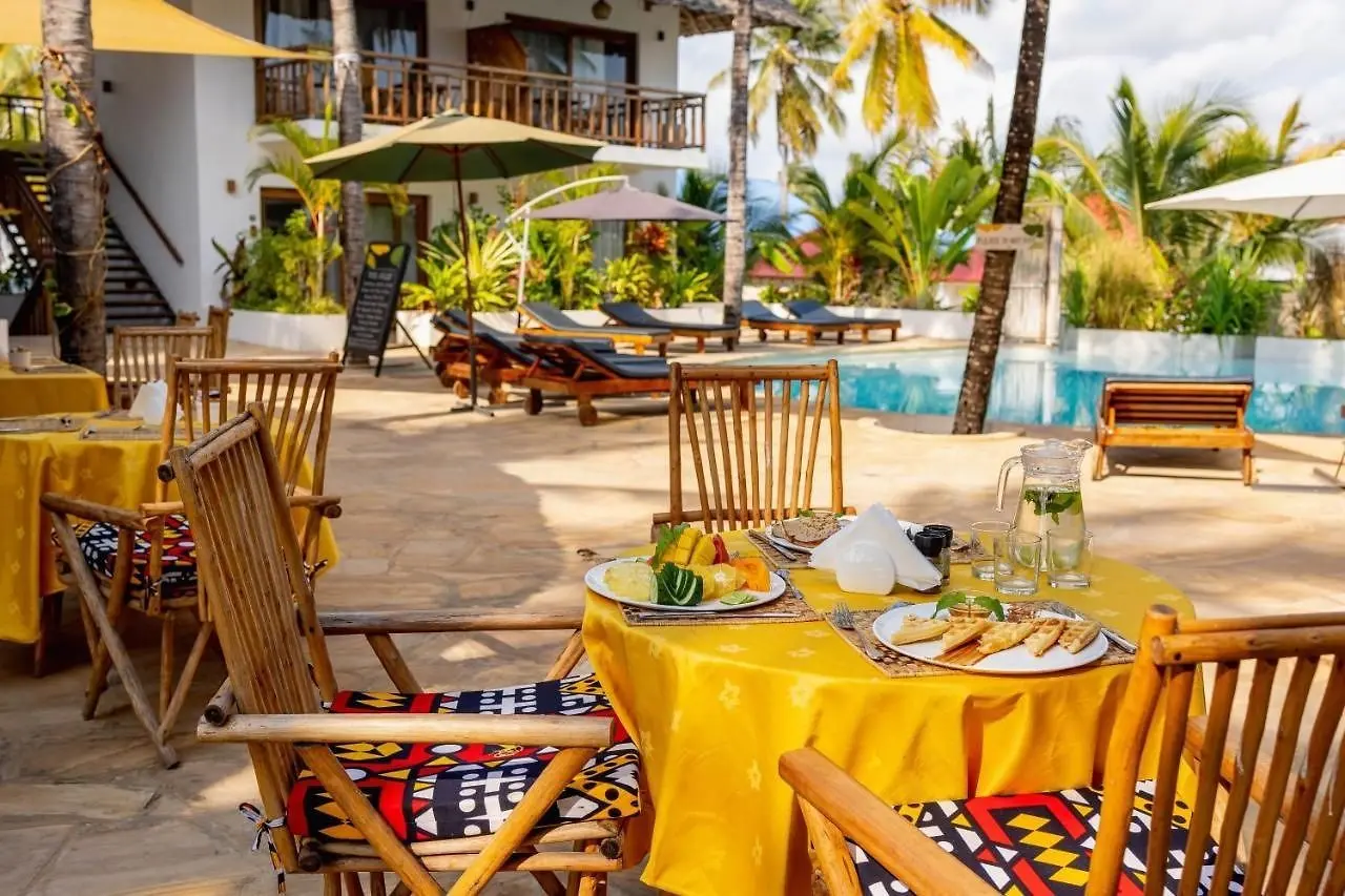 Aluna Paje — ALUNA PAJE