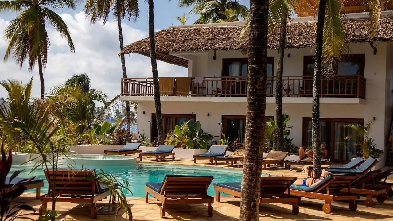 Aluna Paje — ALUNA PAJE