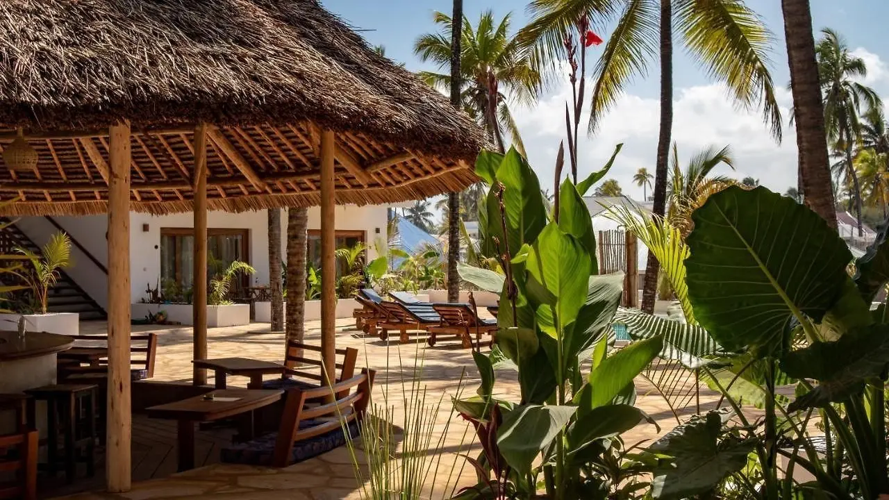 Aluna Paje — ALUNA PAJE