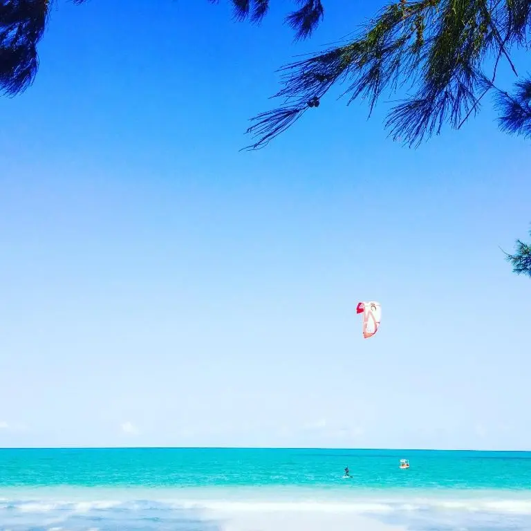 B4 Beach Club — B4 BEACH CLUB