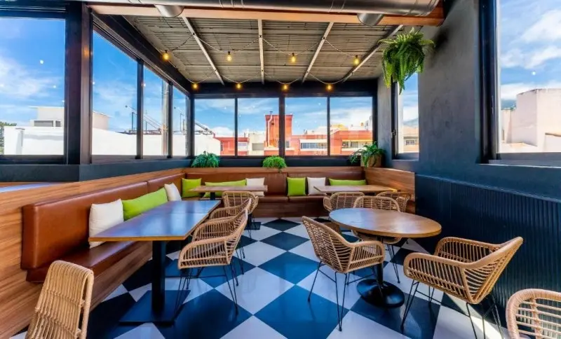 Dwo Nopal — DWO NOPAL