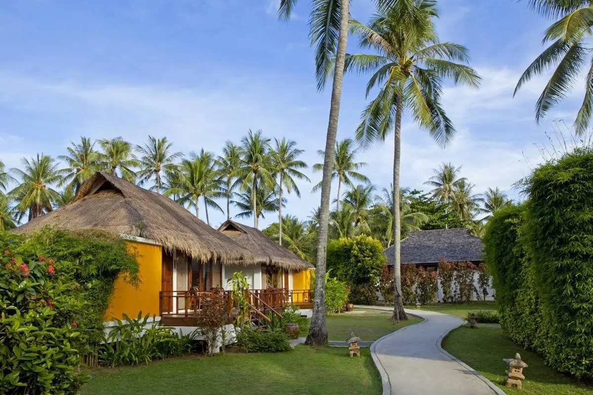 Elixir Koh Yao Yai — ELIXIR KOH YAO YAI