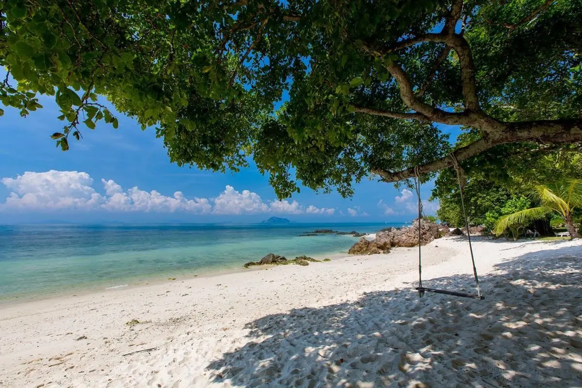 Elixir Koh Yao Yai — ELIXIR KOH YAO YAI