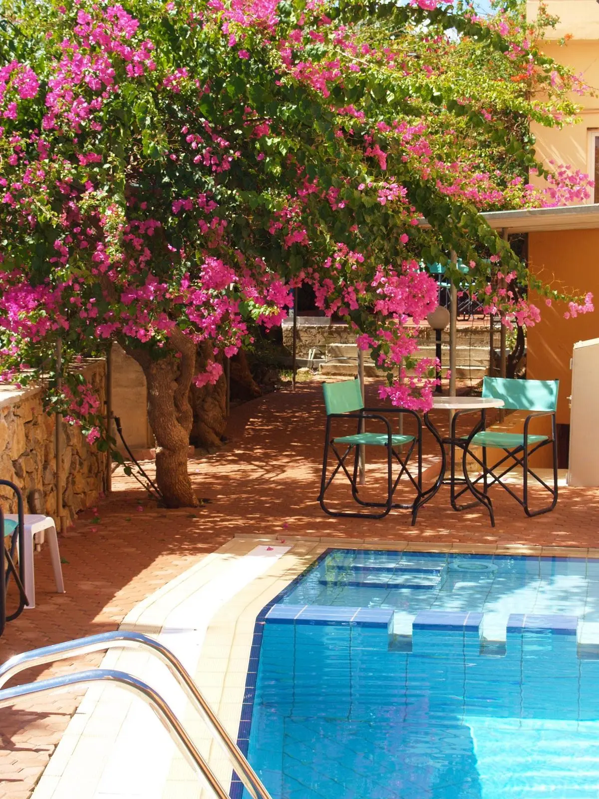 Elotia Hotel — ELOTIA