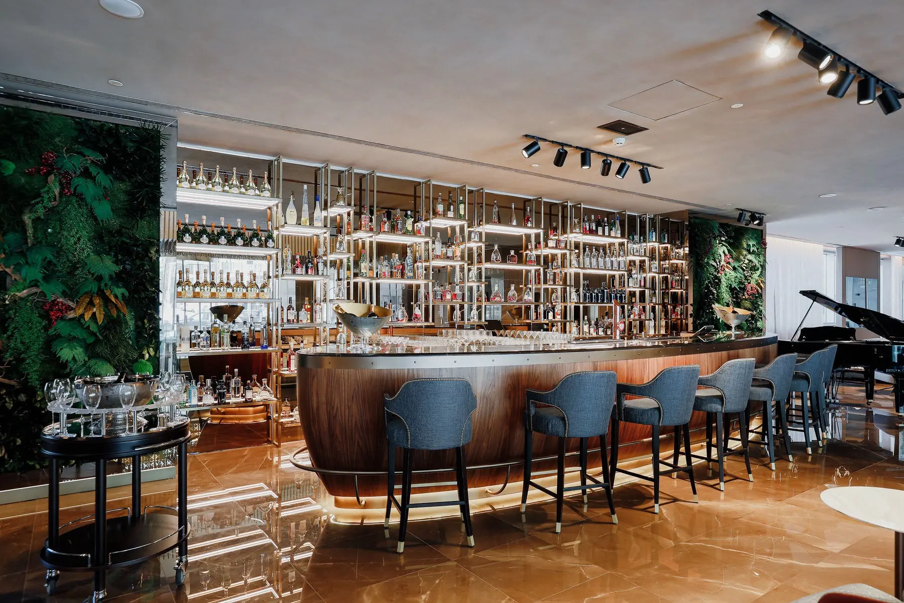 EPIC SANA Marques — EPIC SANA MARQUES