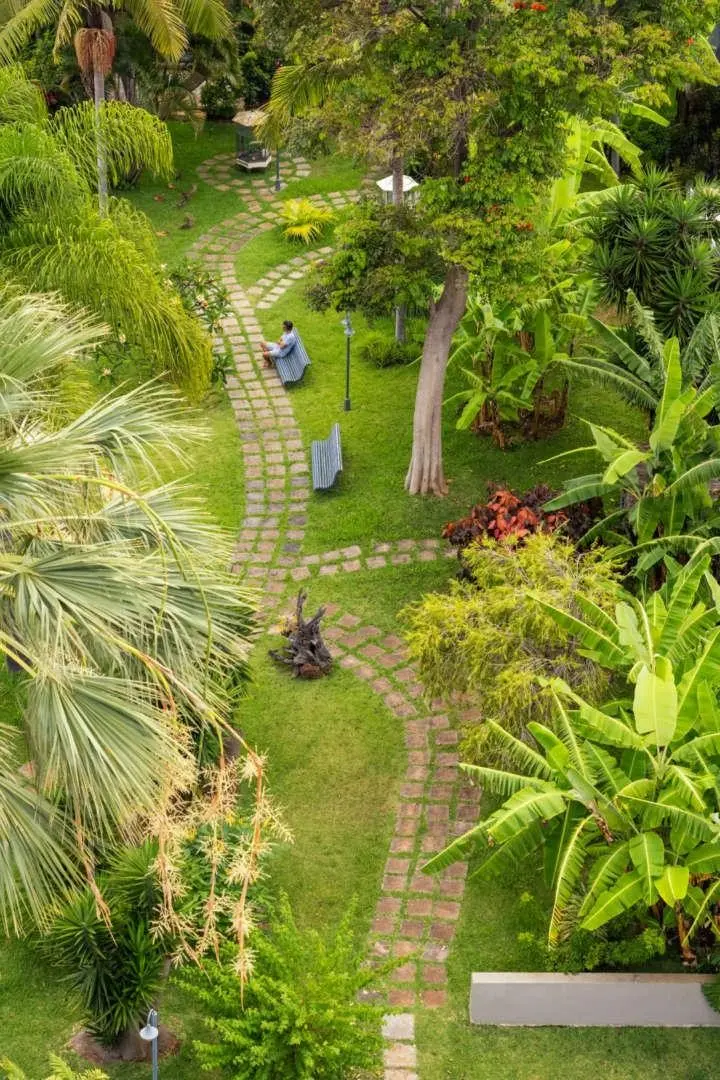 Girassol — GIRASSOL