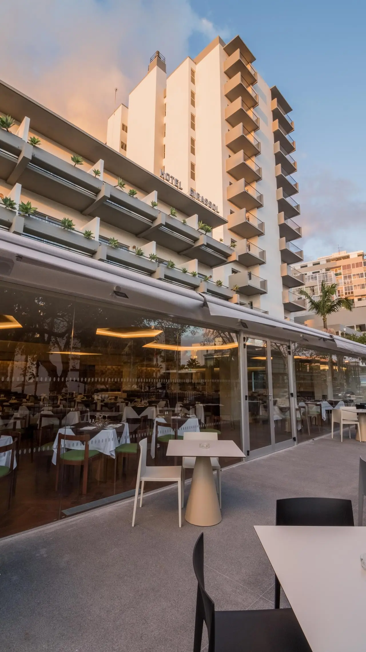 Girassol — GIRASSOL