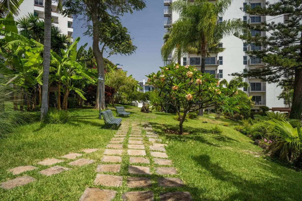 Girassol — GIRASSOL