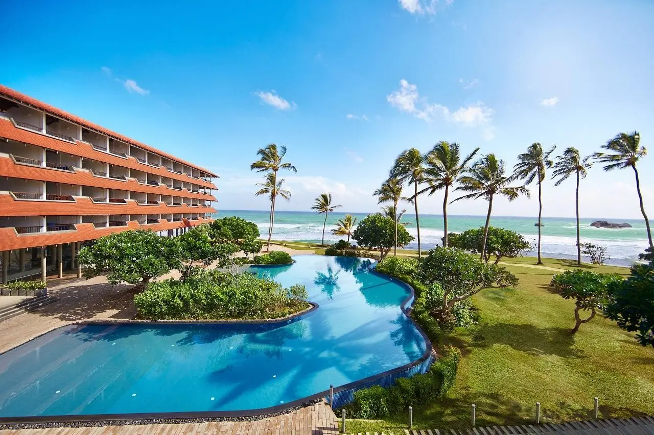 Hikka Tranz By Cinnamon — HIKKA TRANZ BY CINNAMON